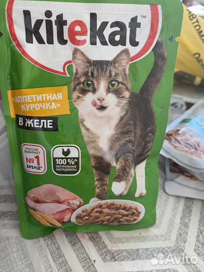 Влажный корм для кошек