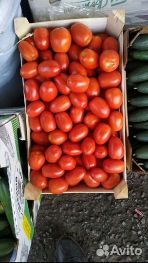 Помидоры с доставкой