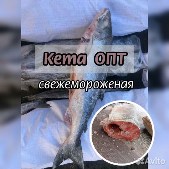 Кета потрошеная свежемороженая