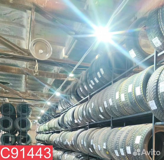 Dunlop Winter Maxx WM01 225/50 R17 94L