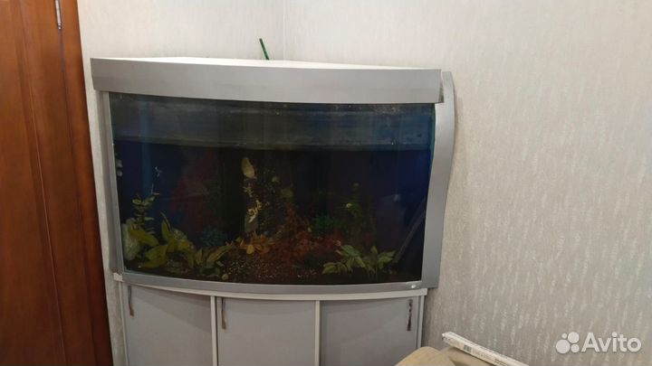 Аквариум с тумбой