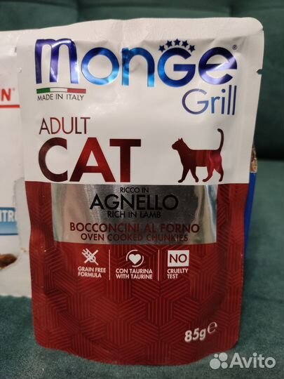 Влажный корм для кошек monge, proplan, royal canin