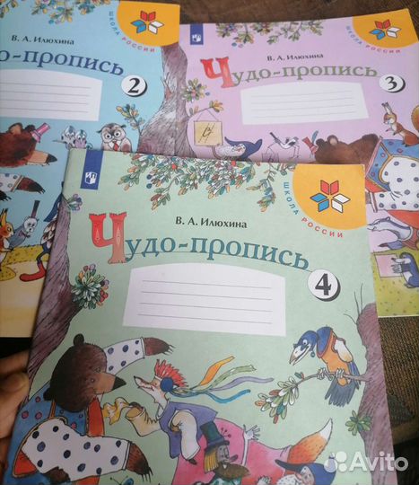 Рабочая тетрадь 1 класс чудо пропись илюхина