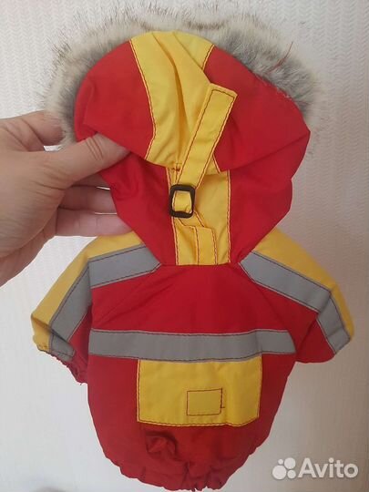 Продам костюм для мелких пород собак