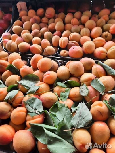 Доставка продуктов питания