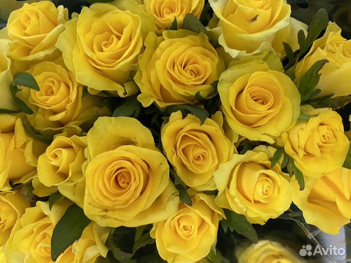 101 роза - букет цветов