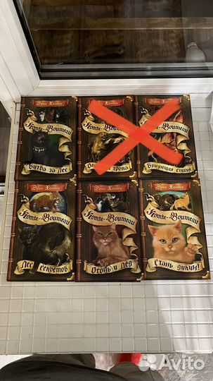 1 серия книг Коты воители