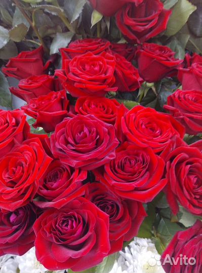 Роза Red Naomi 50 см. Поштучно