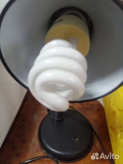 Коврик для рептилий и уф лампа