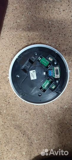 Стрелец Орфей