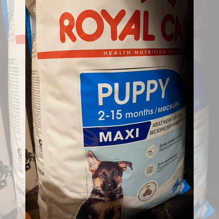 Корм для собак royal canin maxi puppy