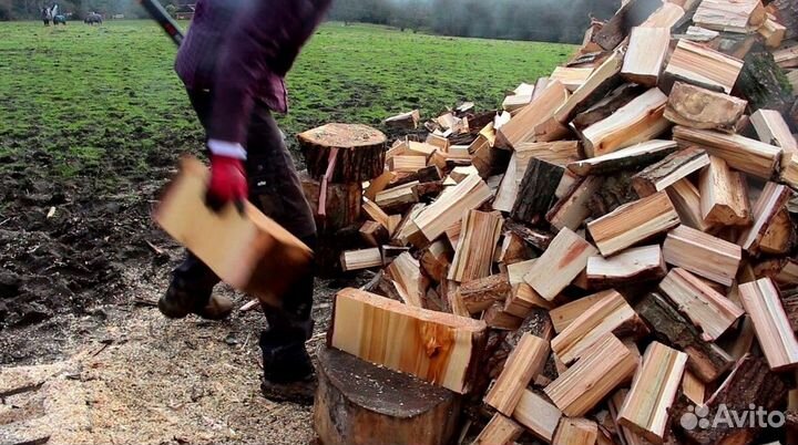 Дрова ольха осина береза
