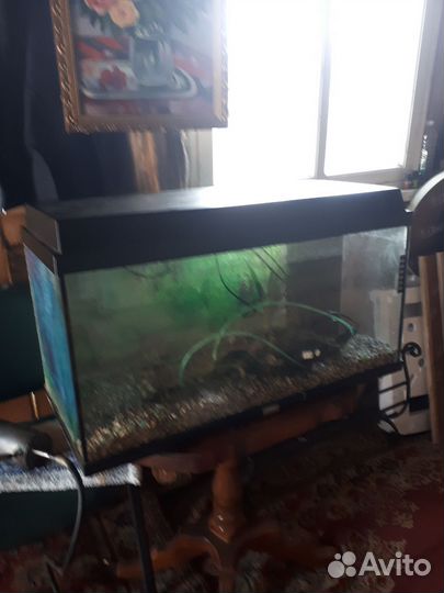 Аквариум