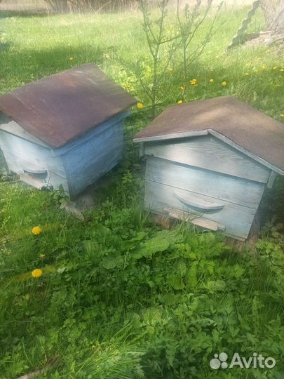 Улей для пчел