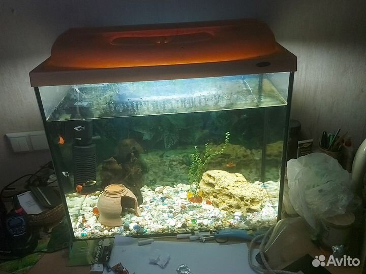 Аквариум