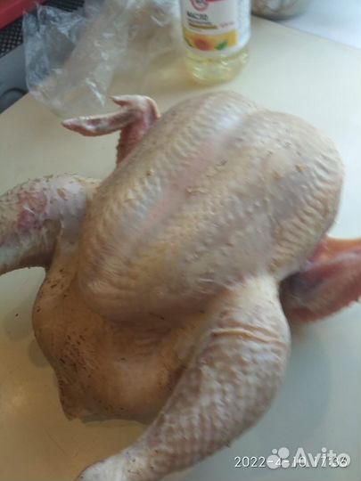 Домашняя птица бройлеры