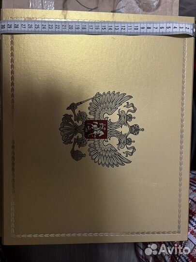 Правительственный чемоданчик