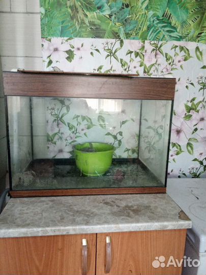 Аквариумные продам