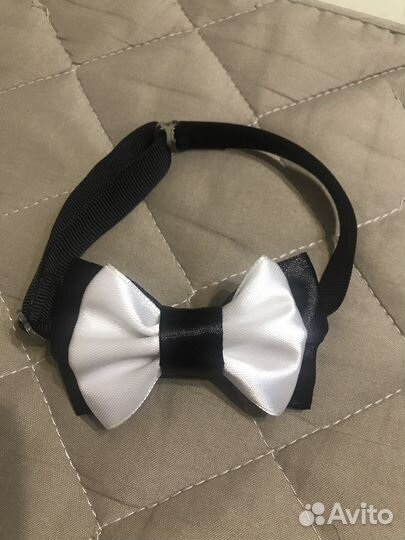 Аксессуары для животных мелких пород