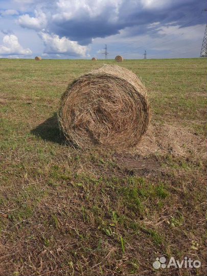 Сено в тюках