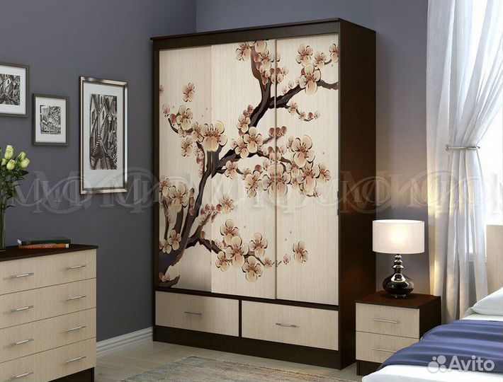 Шкаф-купе Модерн 2