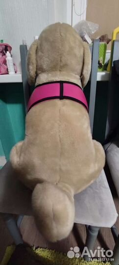 Мягкая игрушка собака лабрадор