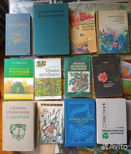 Лекарственные травы растения Медицина Акупунктура