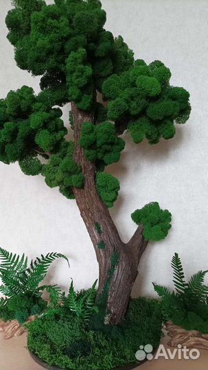 Мох - Дерево из живых мха и растений