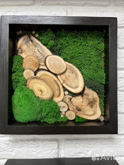 Фито картина