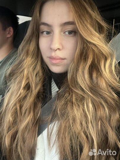 Передержка кошек, животных