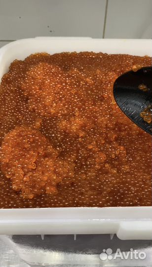 Красная икра горбуши