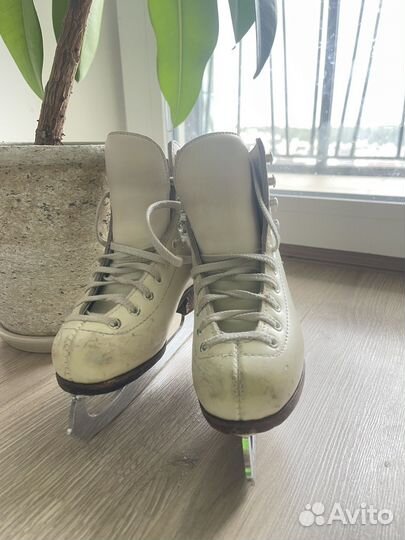 Коньки фигурные профессиональные