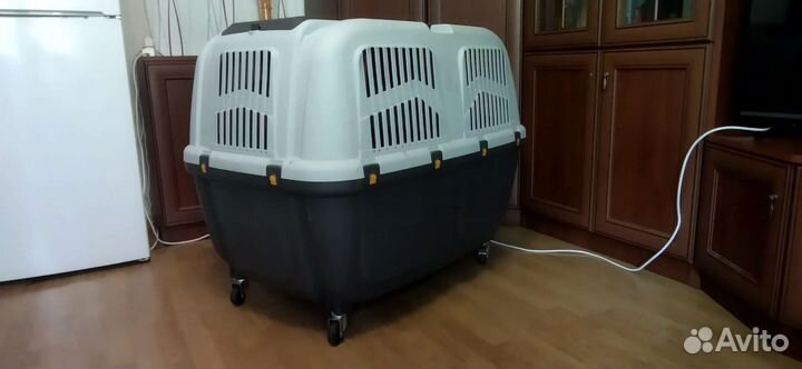 Переноска для большой собаки