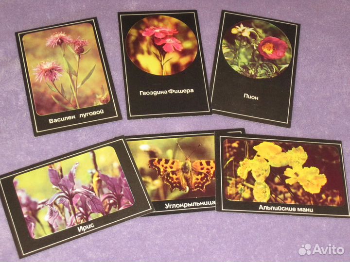 Календари природа, птицы, растения, Красная книга