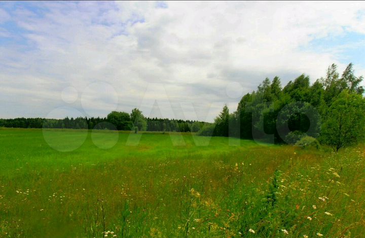 Участок 20 сот. (ИЖС)