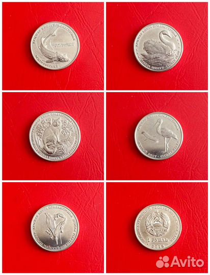 Монеты Приднестровья