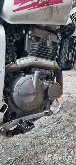 Suzuki DR250R (Djebel250)