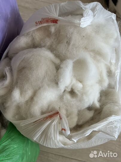 Собачья шерсть Самоеда