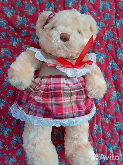 Мишка Тедди