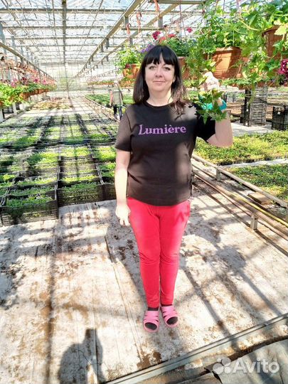 Подработка