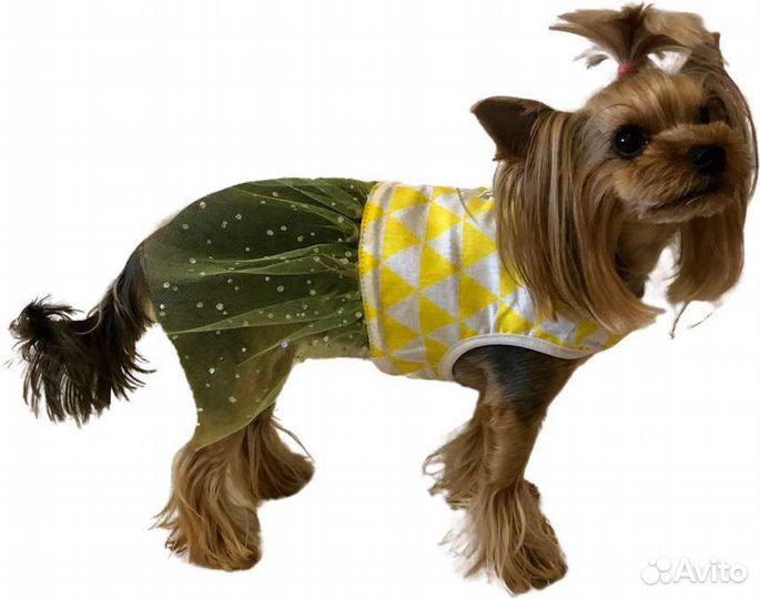 Шлейка для собаки