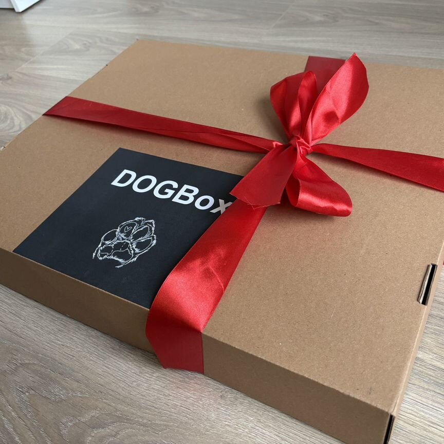 Dogbox. Набор необходимых вещей для собаки