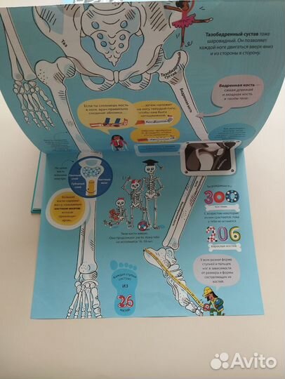 Большая книга о теле человека