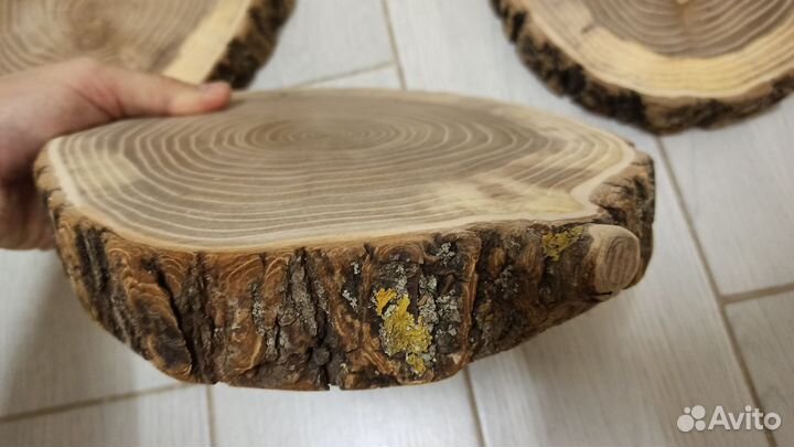 Спил карагача / вяза. Разделочная доска