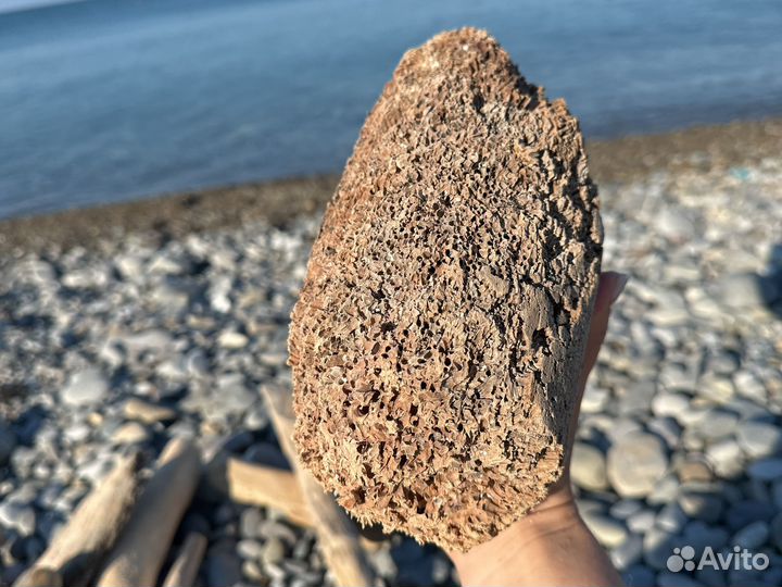 Реквизит для фото Коряга дрифтвуд