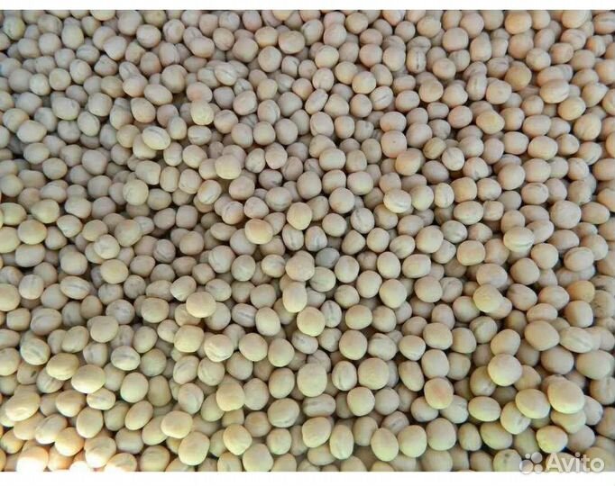 Горох, пшеница на корм