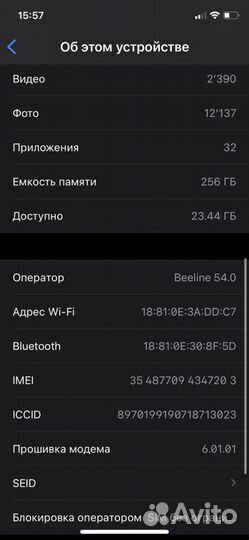 iPhone X, 256 ГБ