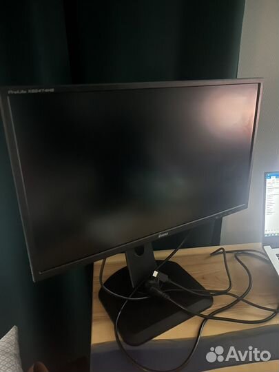 Монитор iiyama 24 дюйма