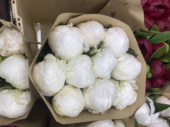 Пионы с доставкой