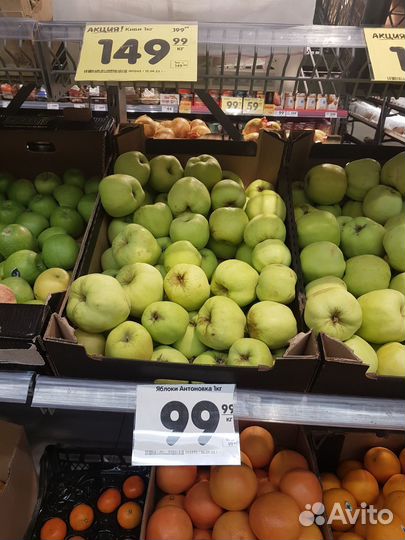 Яблоки домашние